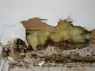 Professional water damage restoration services in Los Angeles - HydroHeal Pros